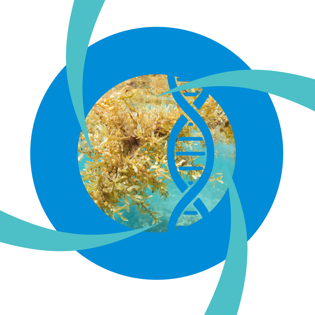 DermalRx® FSE (R10111)-carousel-image