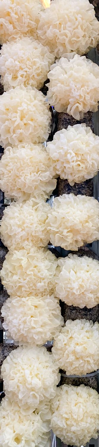 company tower banner