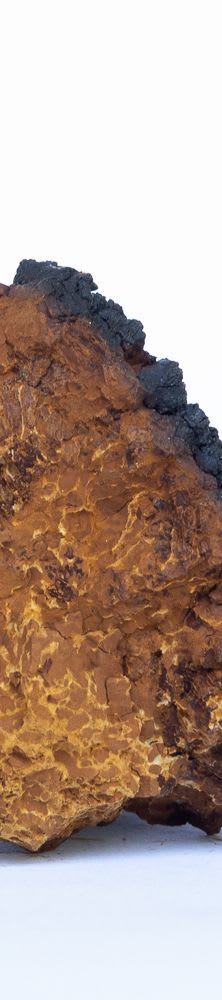 company tower banner