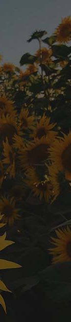 company tower banner