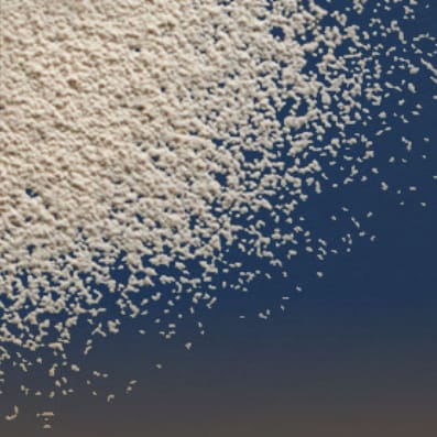Yestimun® Beta-Glucan | Canada-carousel-image
