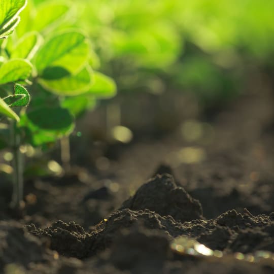 SOIL-PLUS® 7-0-0 | Soil & Plant Management Solution -carousel-image