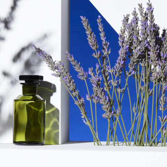 Robertet Organic Lavender Flowering Tops Natur Cell Fr-Bio-01-carousel-image