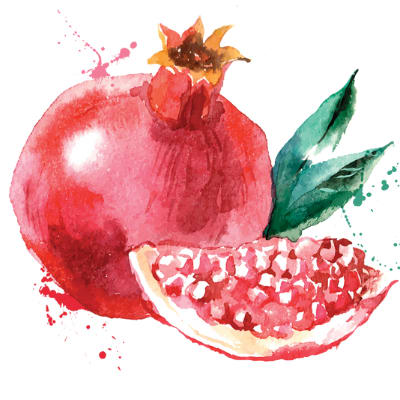 MEYKON Pomegranate Juice Concentrate-carousel-image