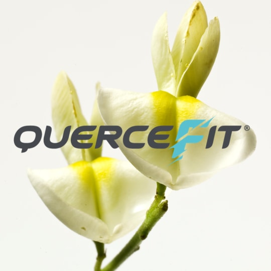 Quercefit®-carousel-image