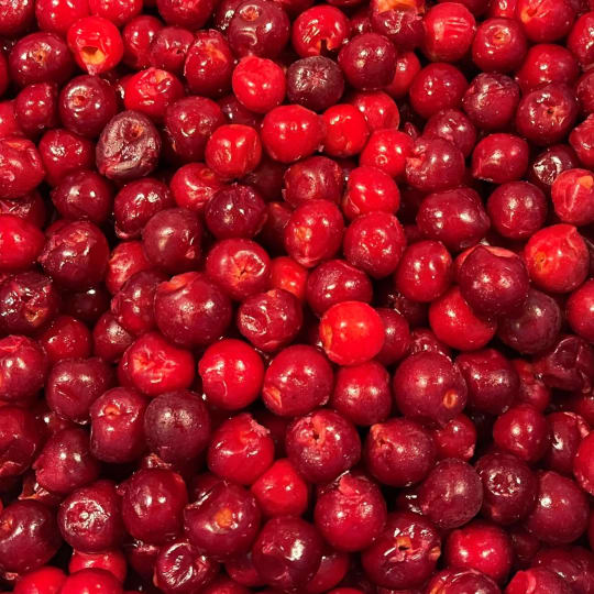 Cherry Central Montmorency Red Sour Cherries - IQF (FP07-100)-carousel-image