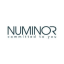 Numinor Chemical Industries Ltd. Company Logo