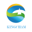 Anhui Kingcham Chemical Technology Company Logo