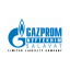 Gazprom neftekhim Salavat Company Logo