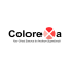 Colorexa Company Logo