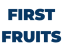 First Fruits Business Ministry LLC Company Logo