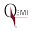Qemi International Company Logo