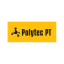 Polytec PT Company Logo