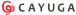 Quadra company logo