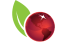 Palmer Holland, Inc. company logo