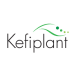 Kefiplant company logo