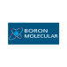 Boron Molecular company logo