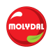 MOLYDAL company logo
