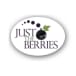 Just the Berries PD Corporation (F&B NA) company logo