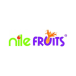 Nile Fruits S.A.E. company logo