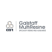 Galstaff multiresine company logo