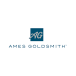 Ames Goldsmith Corporation company logo