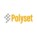 Polyset company logo