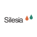 Silesia Flavors company logo