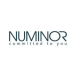 Numinor Chemical Industries Ltd. company logo