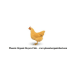 Phoenix Organic Feed company logo