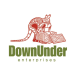 Down Under Enterprises International company logo