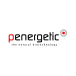 Penergetic Solutions company logo