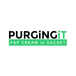 PURGING iT company logo