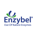 Enzybel Group company logo