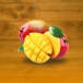 AFP Aseptic Fruit Purees company logo