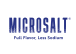 MicroSalt Inc company logo