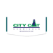 City Cat Pigments (City Cat Group) company logo