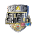 Steel Shield Technologies company logo
