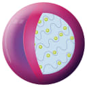 Salscent™ product card logo