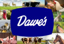 Dq Dairy Midwest product card logo