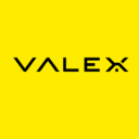 Valex Group logo