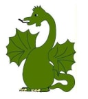Dragonpovol brand card logo