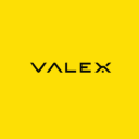Valex Group logo
