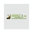 AMIKO A Ltd logo
