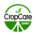 Qingdao Sonef Chemical logo