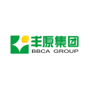 Anhui BBCA International logo