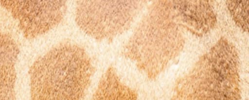 Synovea® Hr – The New Gold Standard In Skin Lightening product card banner