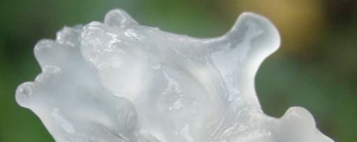 Phytocare-ha™ Cg 1M product card banner