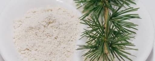Vitaforest Taxifolin Rich (Dahurian Larch) Dry Extract product card banner
