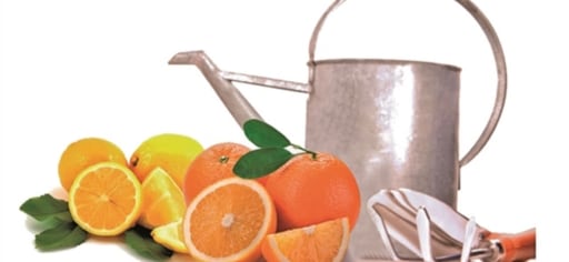 Cytofruit® Water Bergamot Bio 99% product card banner